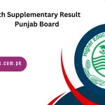 10th Supplementary Result 2024 Punjab Board